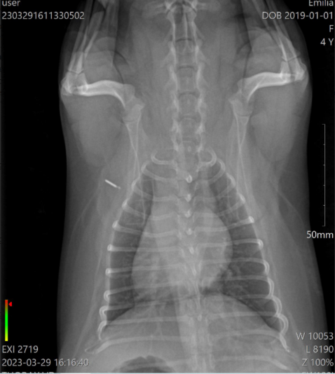 337278714_1270144423918080_440686315916506749_n