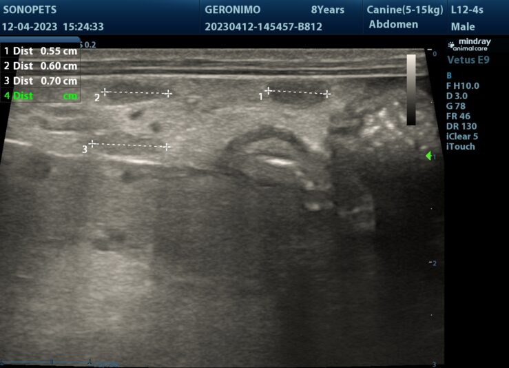 202304121930270032ABD