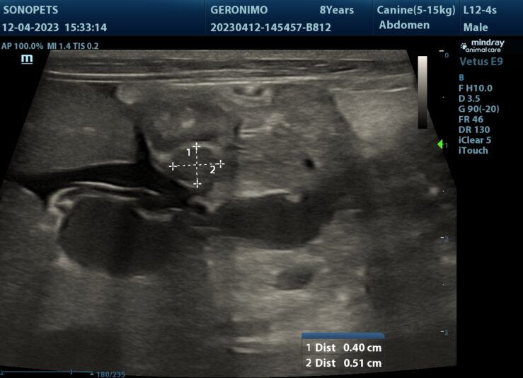 202304121933540036ABD