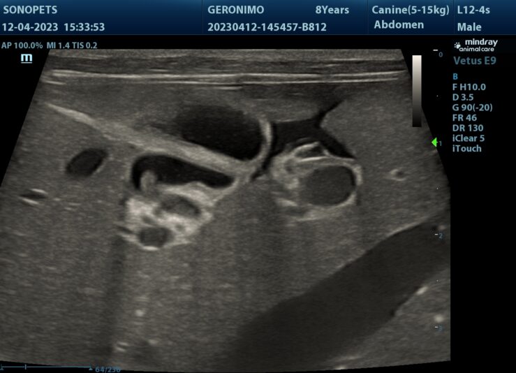 202304121935070040ABD