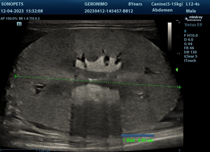 202304121532150044ABD