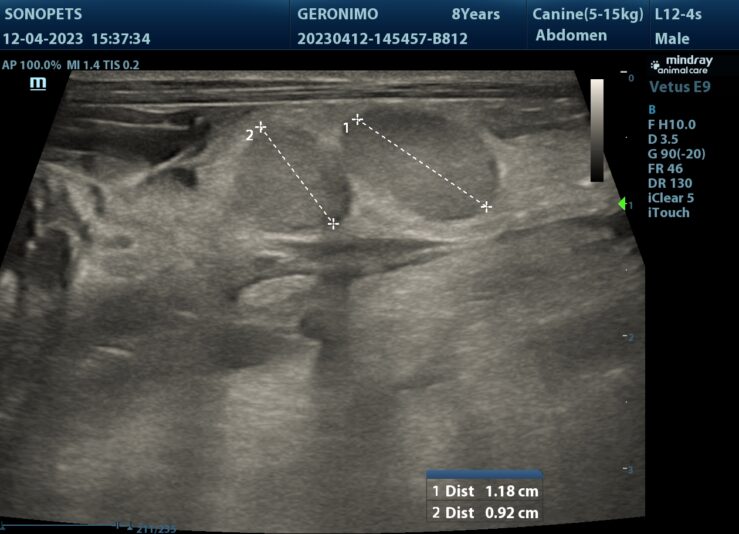 202304121937200043ABD