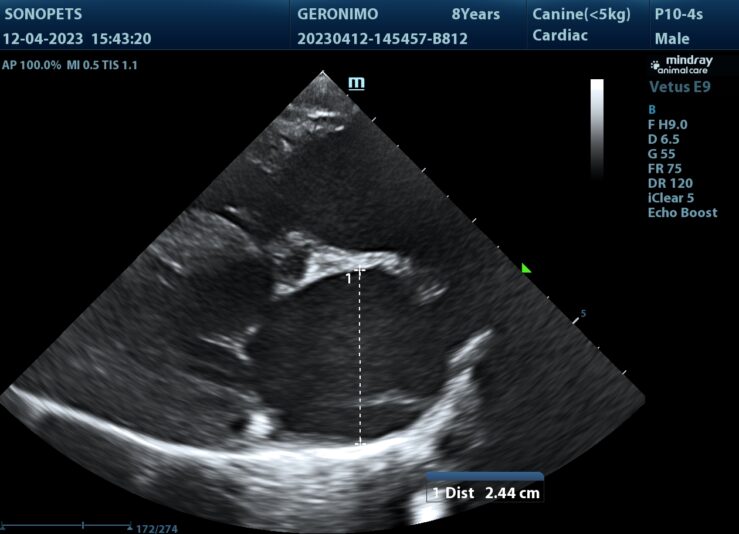 202304121938460045ABD