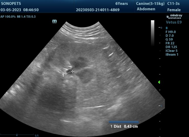 202305031648320004ABD