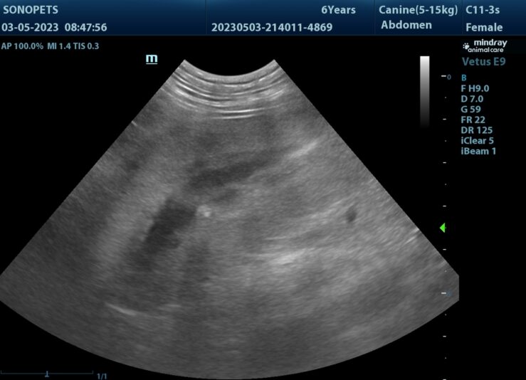 202305031650390009ABD