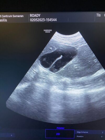 344190670_737611191433916_7767901583740151180_n