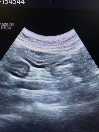 341132043_1716364028779357_9206974958543133356_n