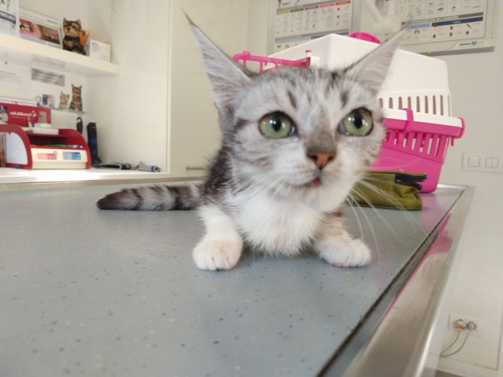 312010738_1376583119537054_5917452444902761361_n