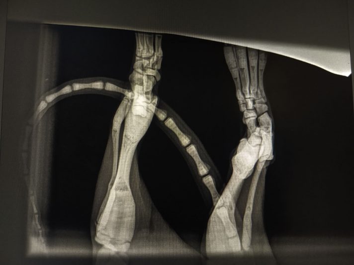 312207000_679618946919023_2198040503091305675_n