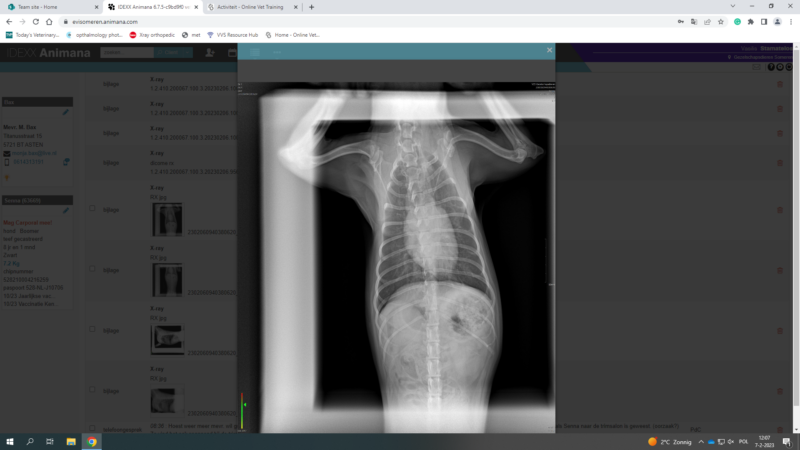 325296933_597571038857772_6926320376300417723_n