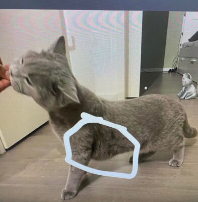 332586975_883977679556312_1679606163088145680_n