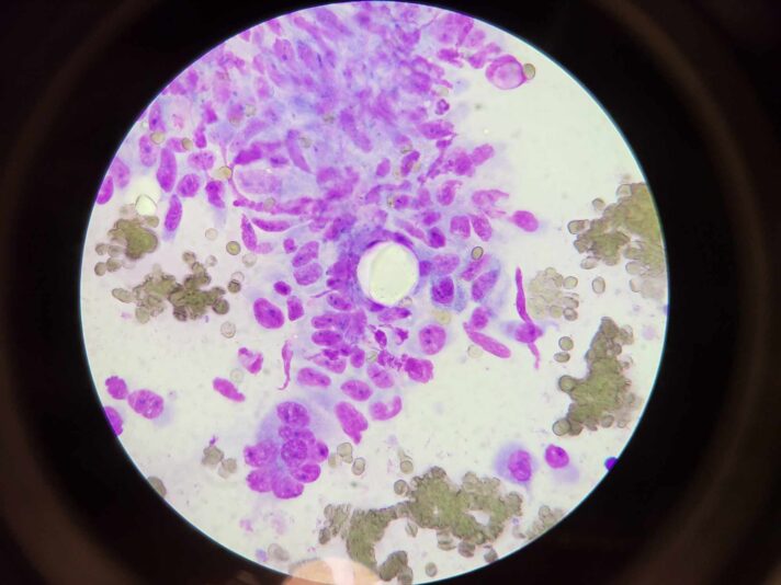 414975458_1073754910565585_5893730493737668360_n