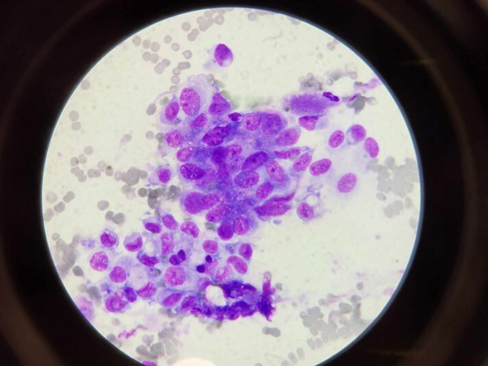 415001377_355280193887489_8970839761363307676_n