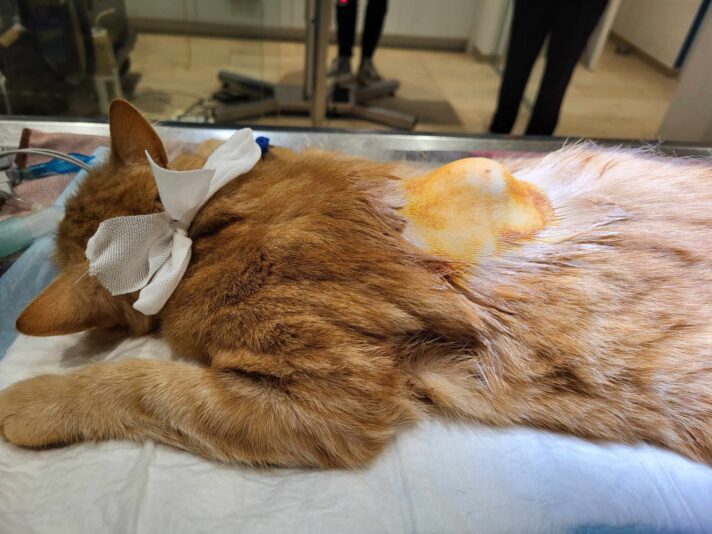 416373306_1081873812998942_1480658377324091600_n