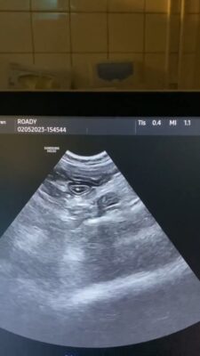 344456070_6051746664879250_8821355437008000265_n