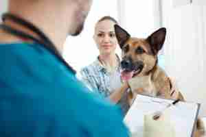 Visiting veterinarian