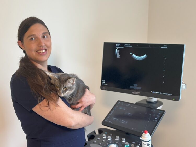 Image of Online Vet Training instructor Emmelie Stock