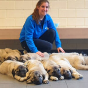 Profielfoto van Kelly Roofthooft